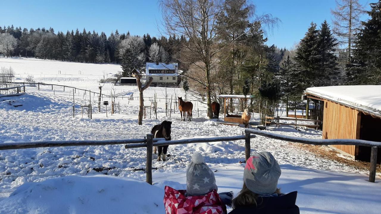 "Sporthuetten Nassau" Ihr Zentrales Domizil An Der Blockline Rechenberg-Bienenmuhle Bagian luar foto